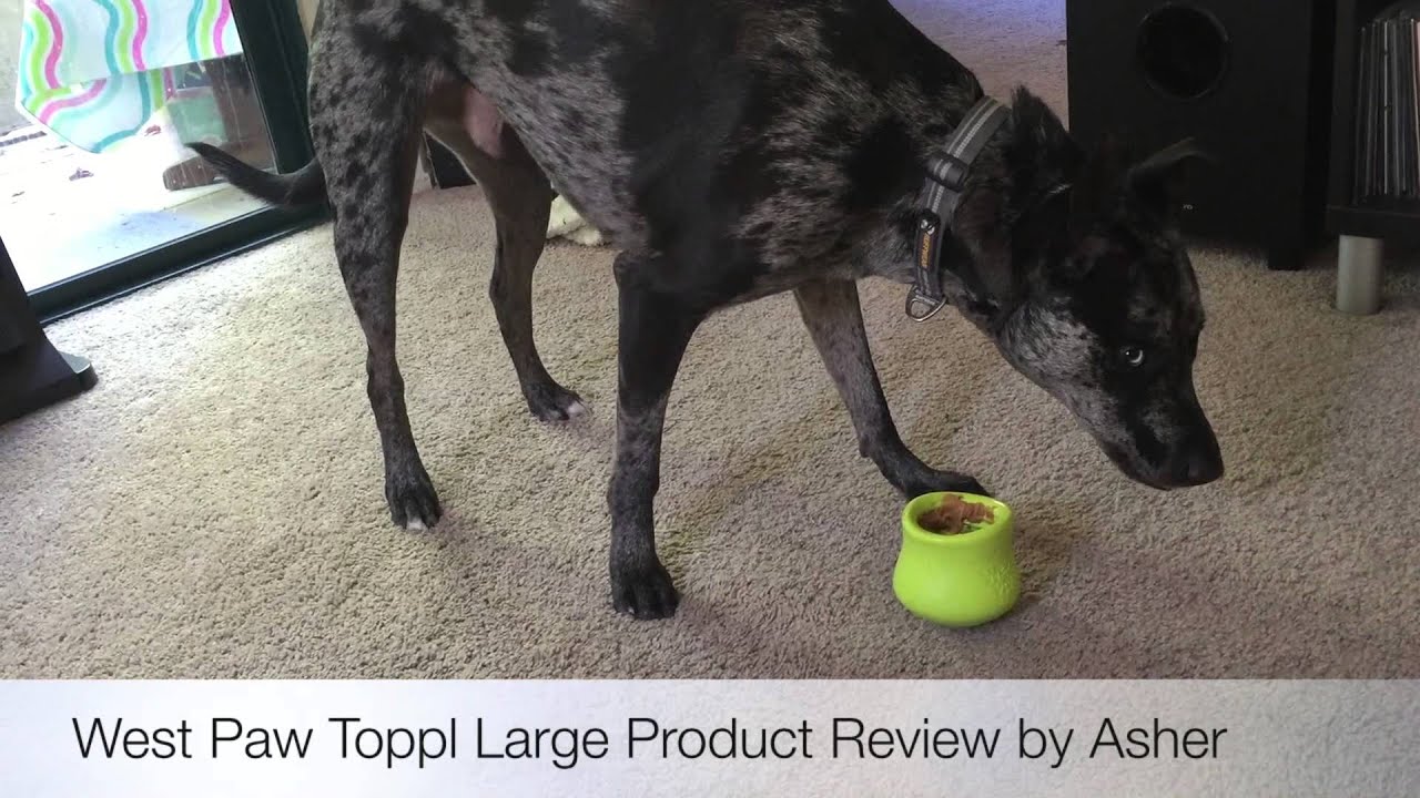 Toppl® Предизвикателство + Лакомство, серия Zogoflex™