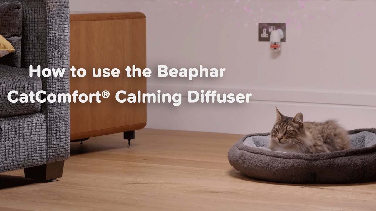 Успокояващ дифузер с феромони за котки, CatComfort Calming, Beaphar