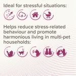 Beaphar CatComfort Excellence Diffuser - успокояващ дифузер с феромони за котки с двойно действие