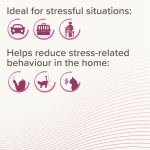 Beaphar CatComfortCalming Spray - успокояващ спрей с феромони за котки