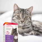 Beaphar CatComfort Excellence Diffuser - успокояващ дифузер с феромони за котки с двойно действие