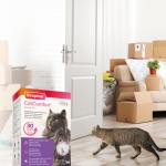Beaphar CatComfort Excellence Diffuser - успокояващ дифузер с феромони за котки с двойно действие