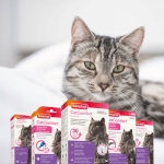 Beaphar CatComfort Excellence Diffuser - успокояващ дифузер с феромони за котки с двойно действие