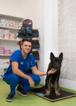Ветеринарна клиника д-р Антонов – специализирана помощ за домашни любимци
