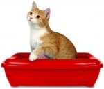 Simple Solution Litter Tray - ензимен препарат против миризми в котешката тоалетна, 500 мл